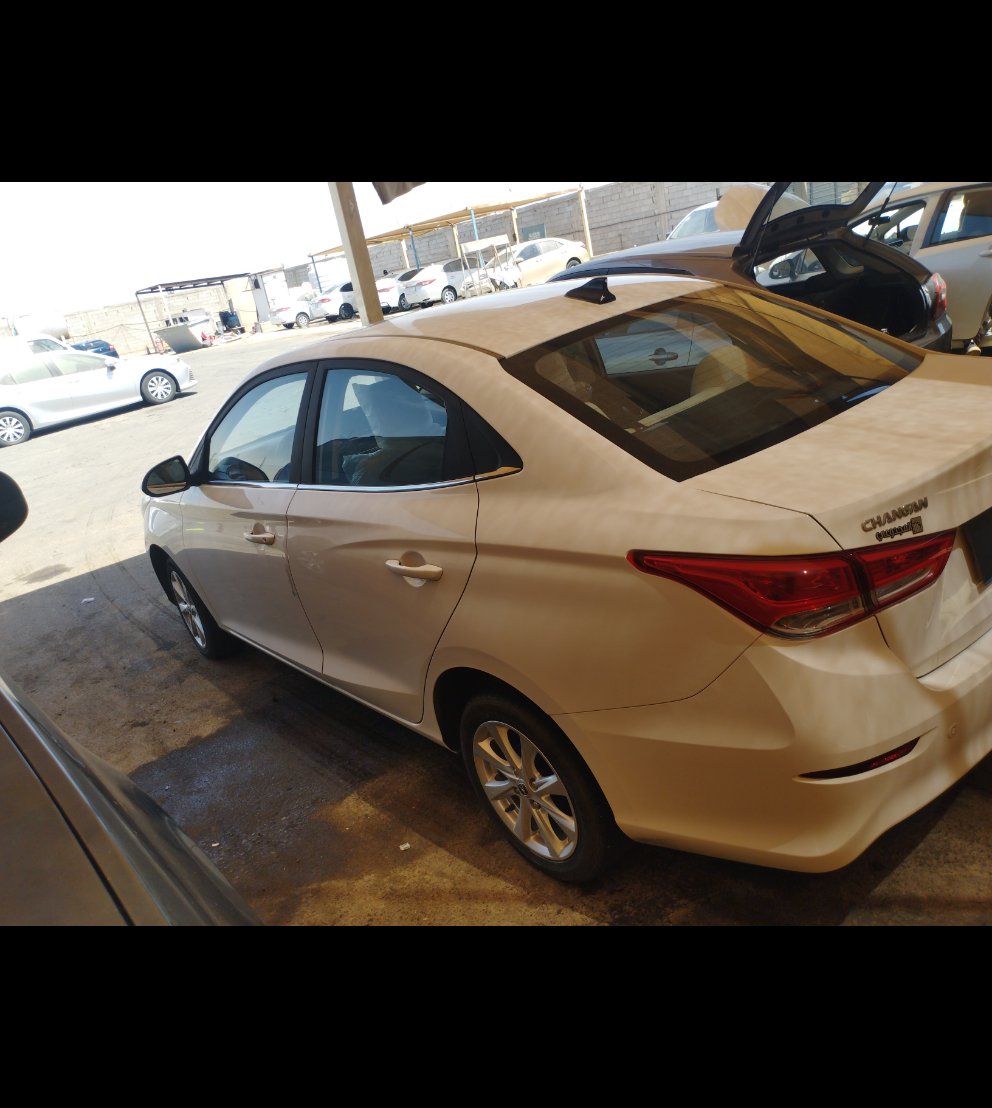 شانجان السفن  2024 image