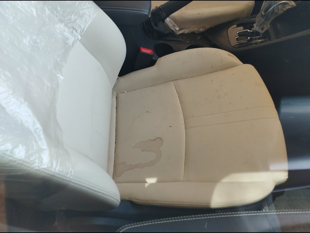 شانجان السفن  2024 image