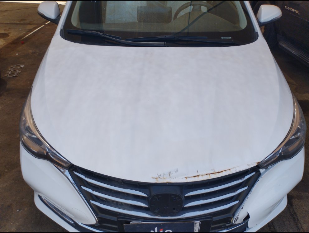 شانجان السفن  2024 image