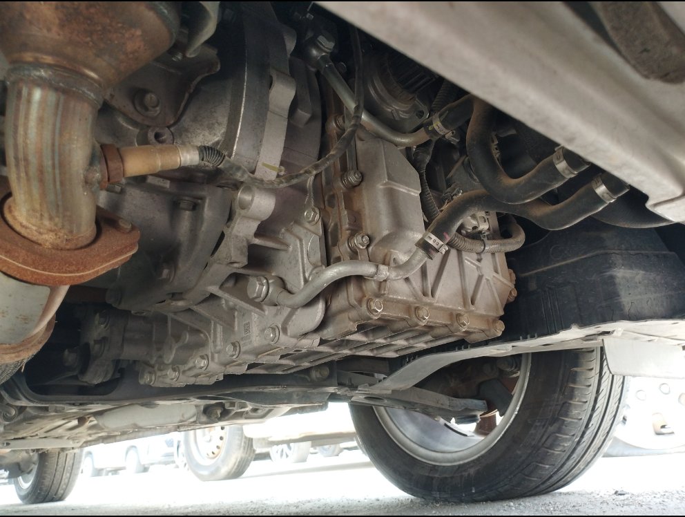 شانجان السفن  2024 image