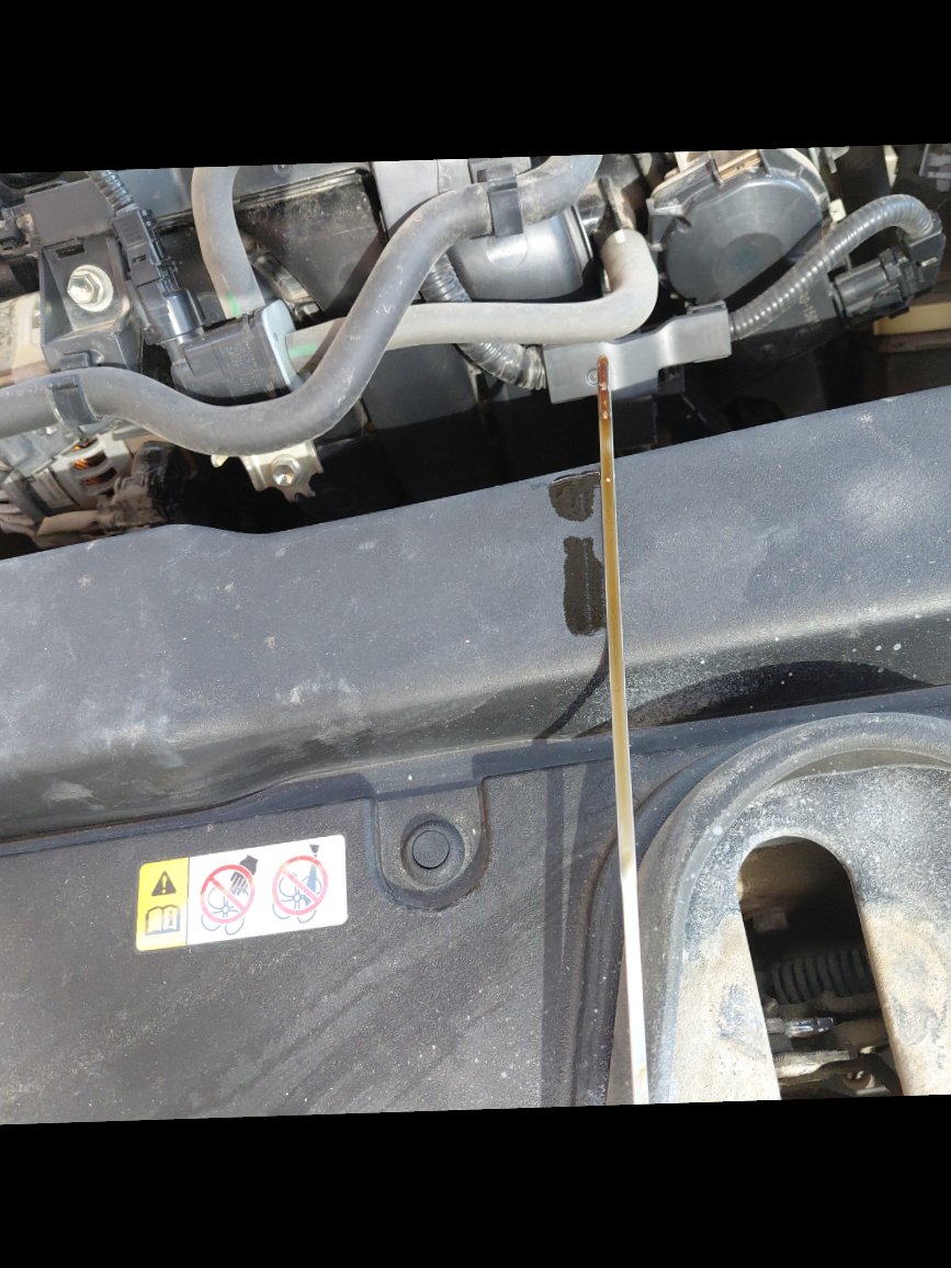 تويوتا كورولا  2021 image