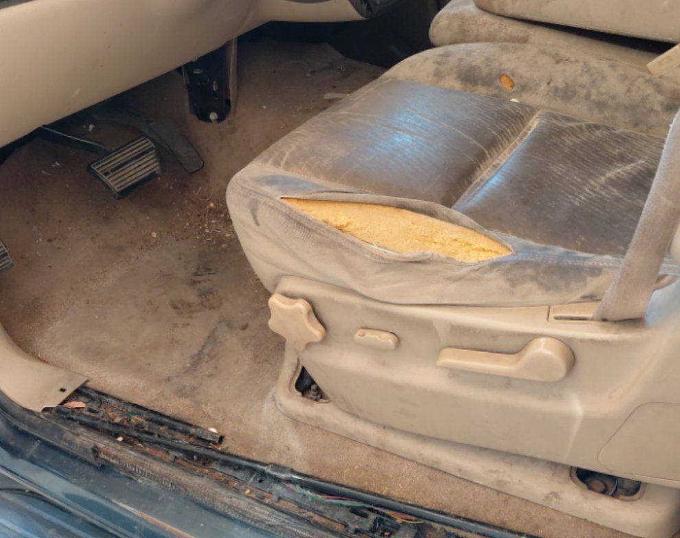 GMC Yukon  2010 image