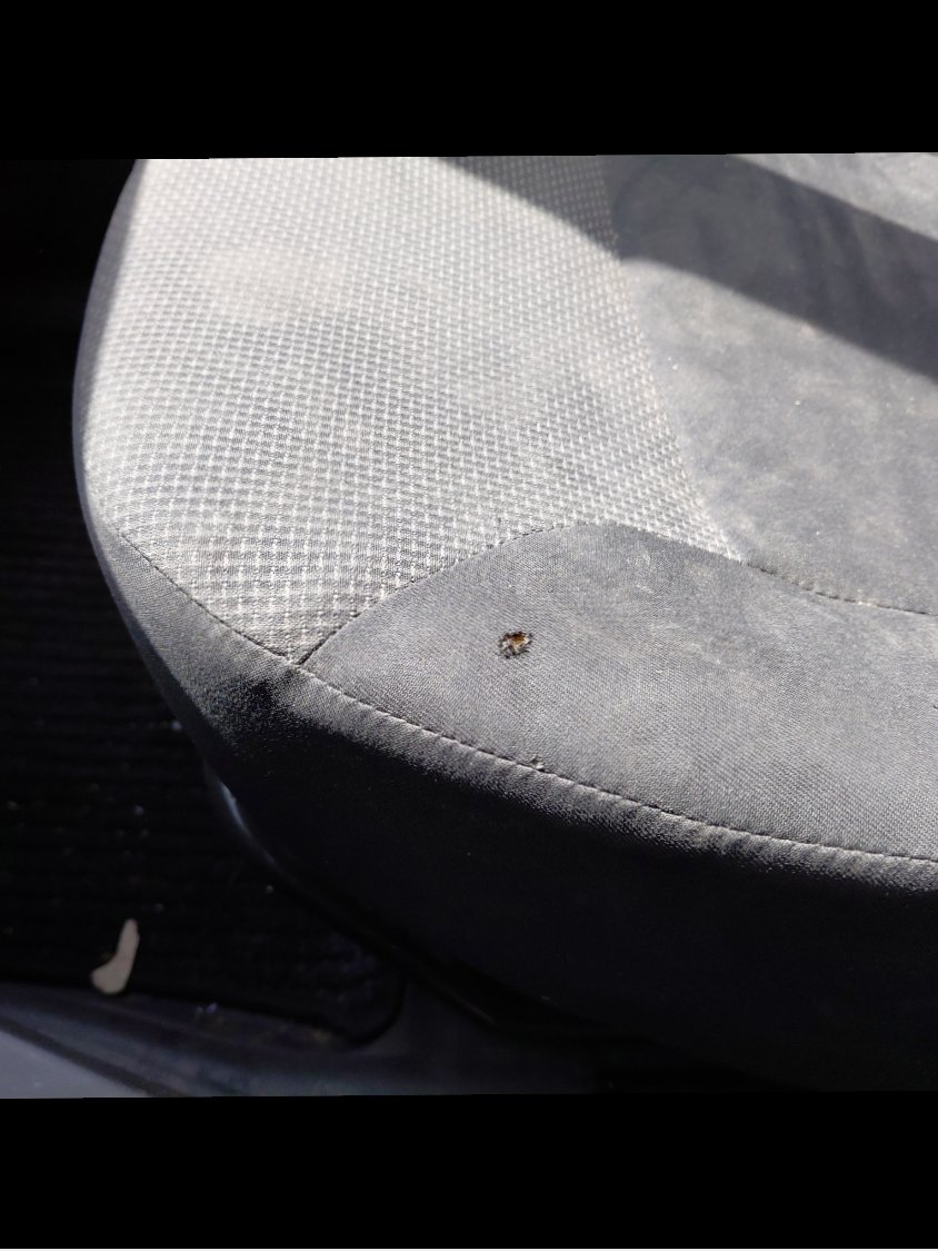 Renault Dokker  2021 image