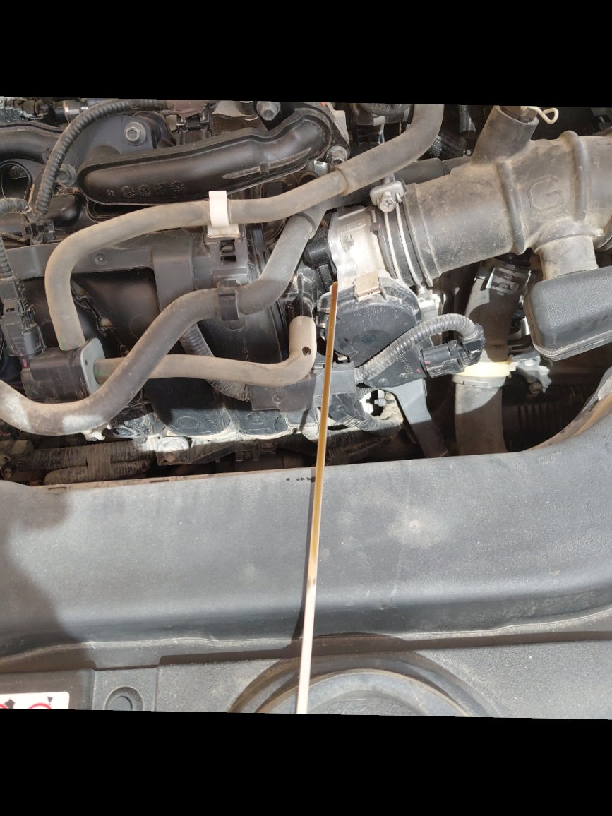 Toyota Corolla  2022 image