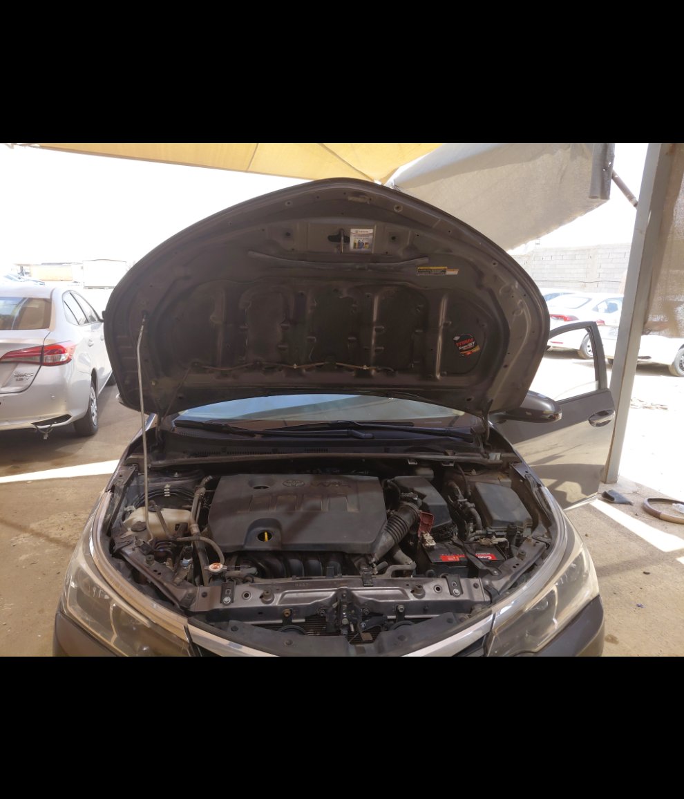 تويوتا كورولا  2019 image