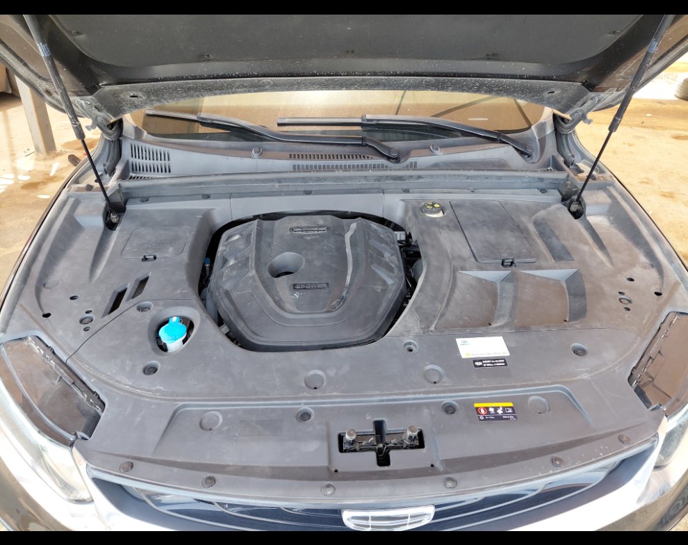 جيلي توجيلا  2023 image