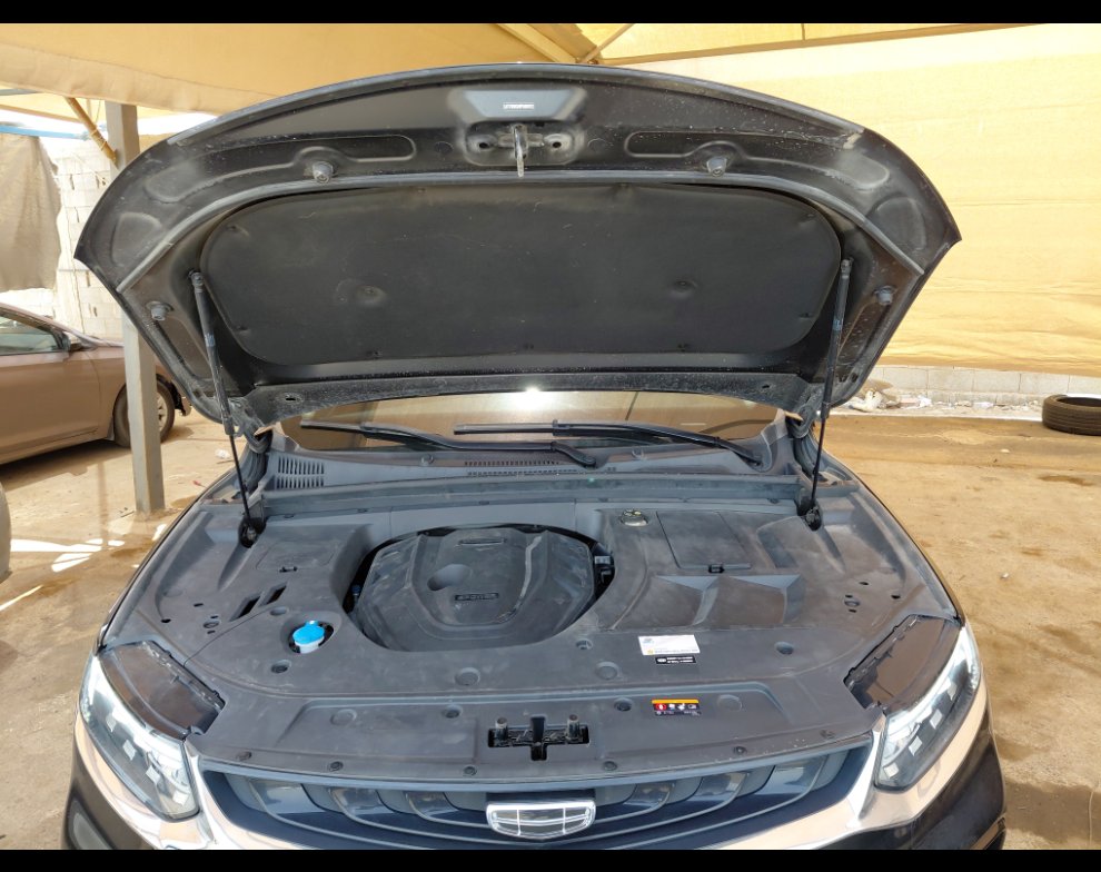 جيلي توجيلا  2023 image