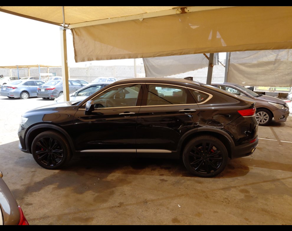 جيلي توجيلا  2023 image