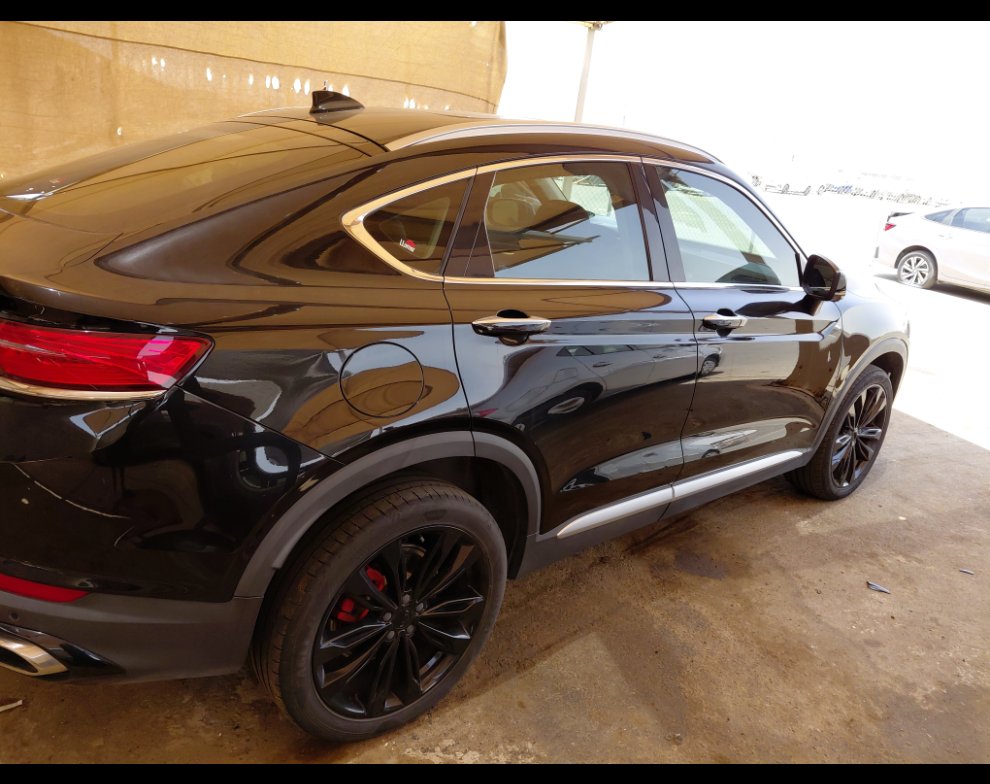 جيلي توجيلا  2023 image