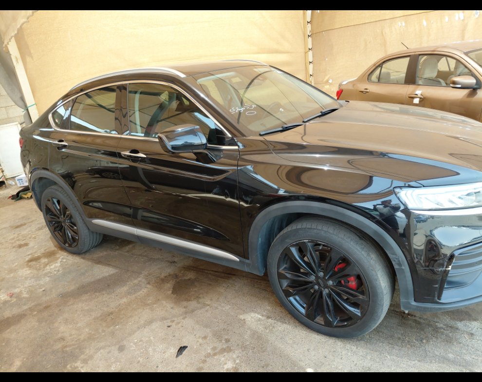 جيلي توجيلا  2023 image