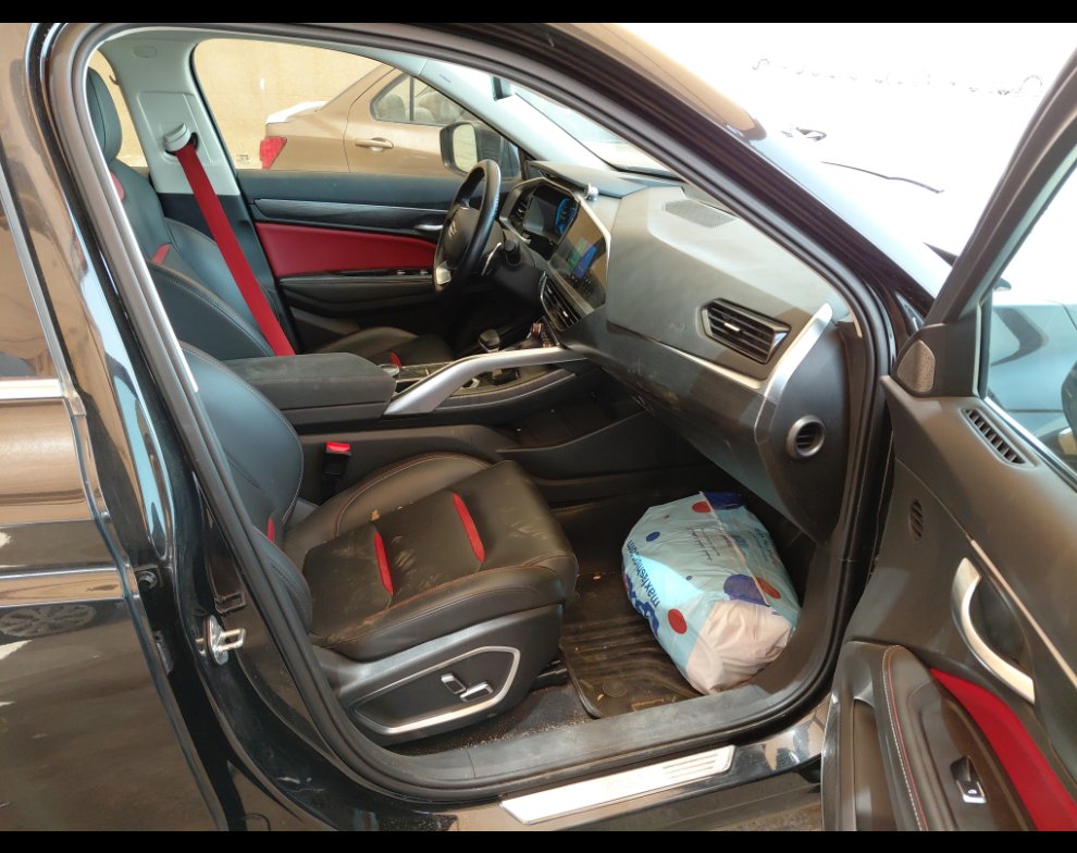 جيلي توجيلا  2023 image