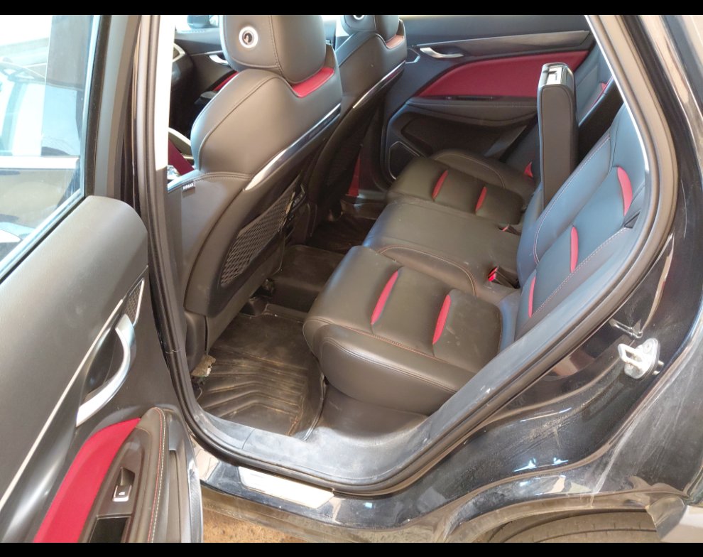 جيلي توجيلا  2023 image