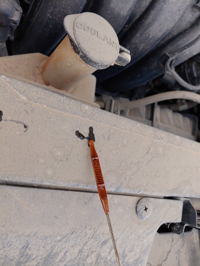 Hyundai Elantra  2020 image