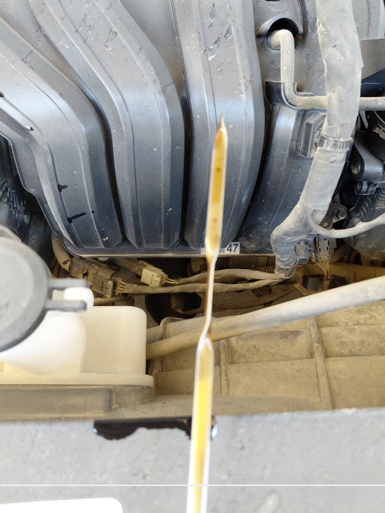 Hyundai Elantra FLT  2023 image