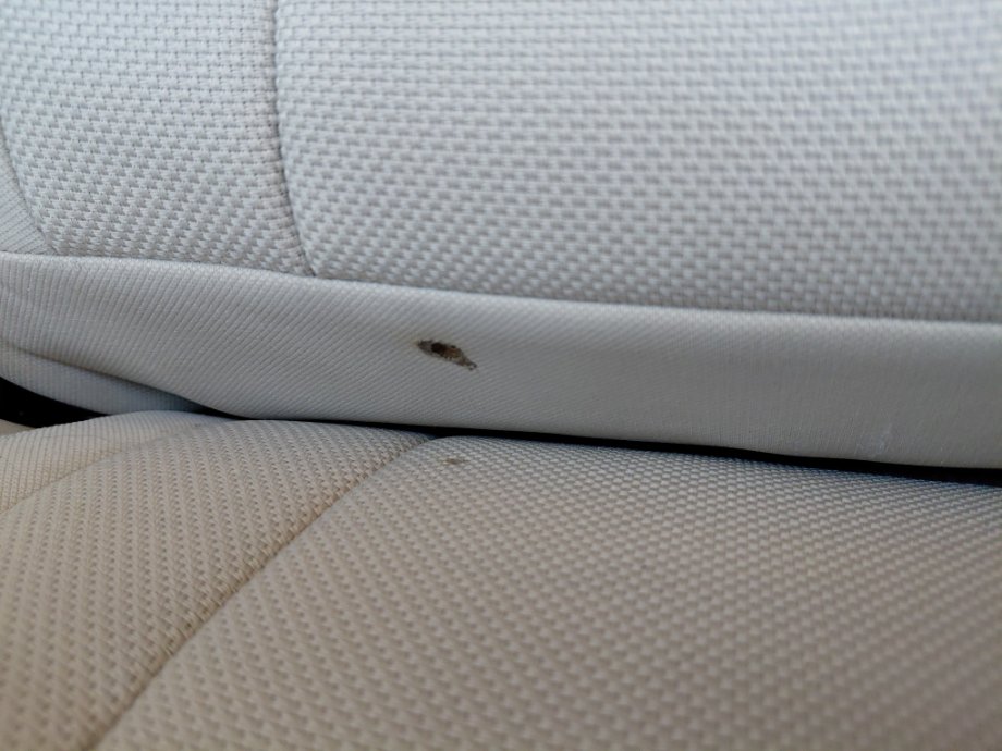 Hyundai Elantra FLT  2023 image