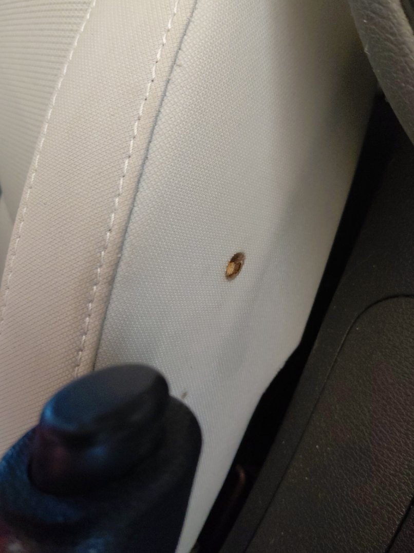 KIA Cerato  2022 image