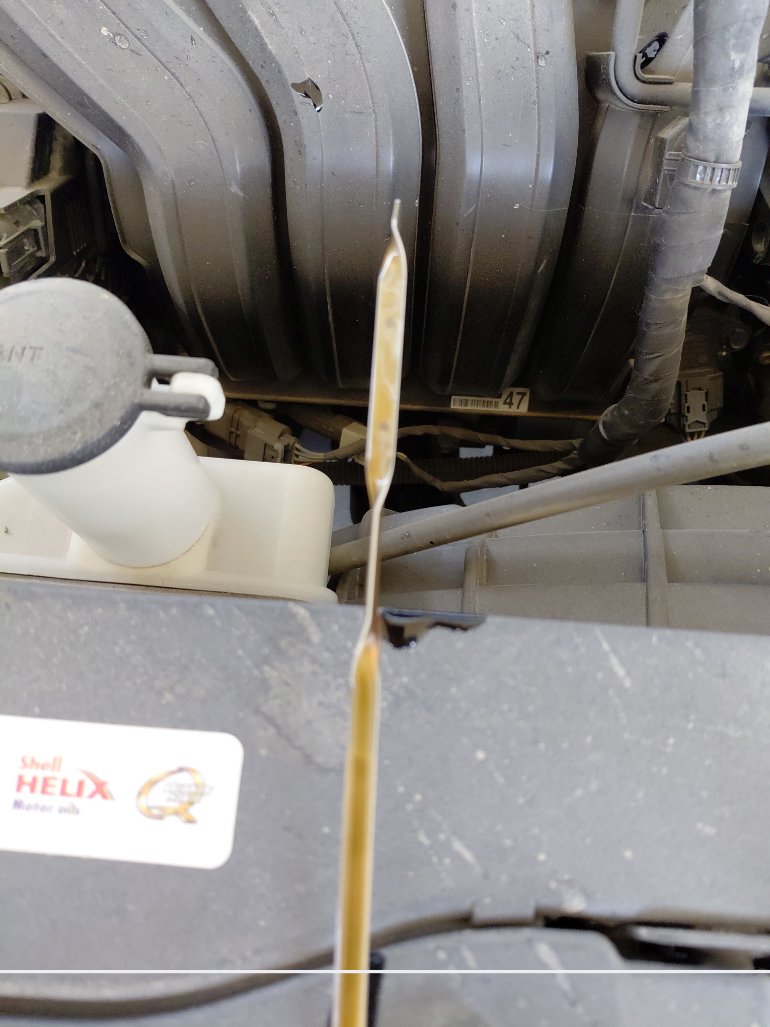 Hyundai Elantra FLT  2023 image