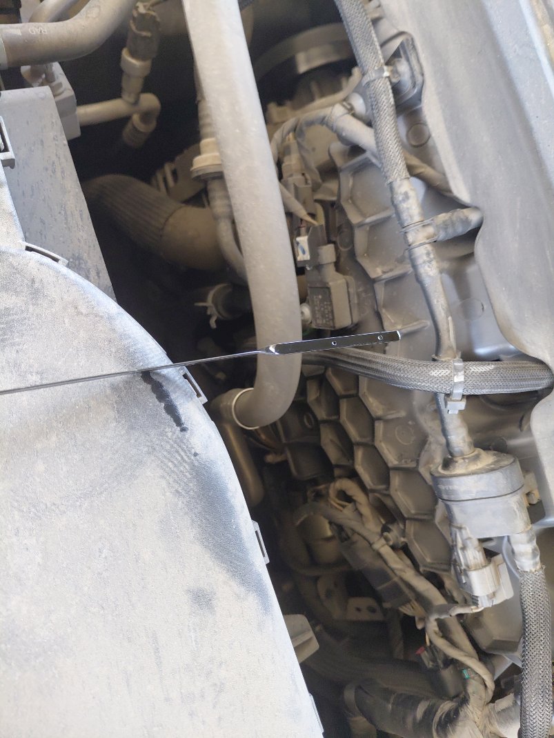 Ford Taurus  2023 image