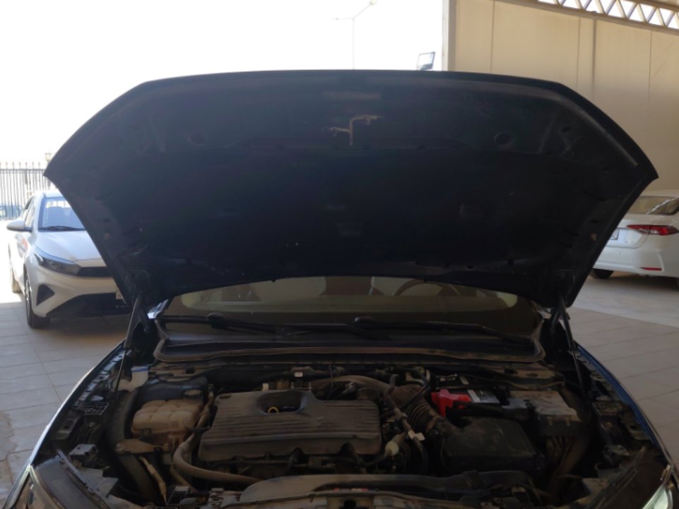 Ford Taurus  2023 image