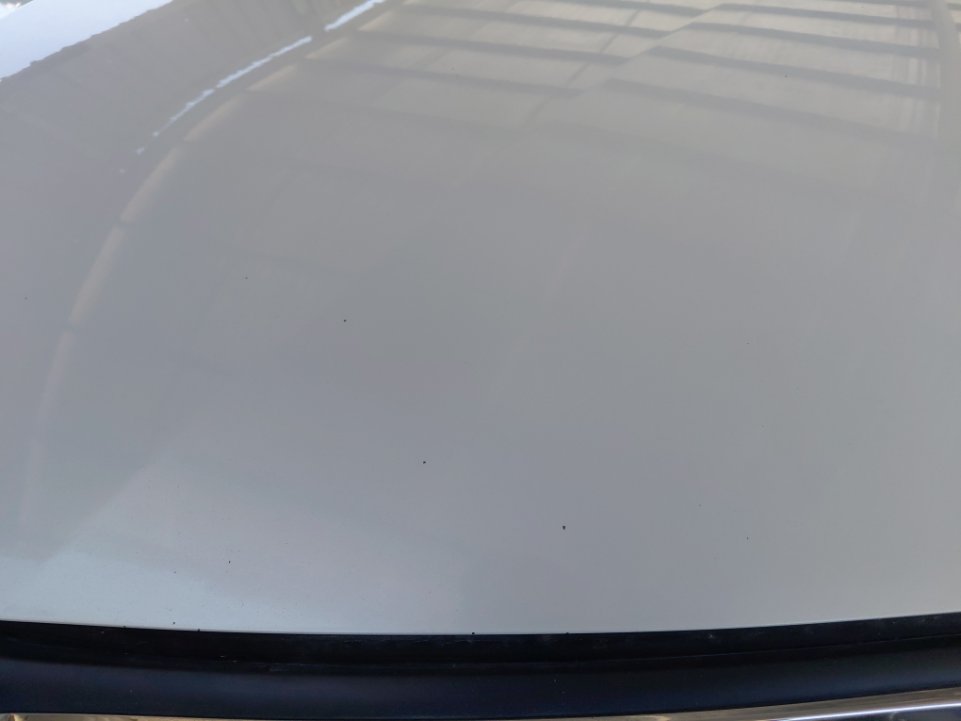 تويوتا كورولا XLI 2023 image