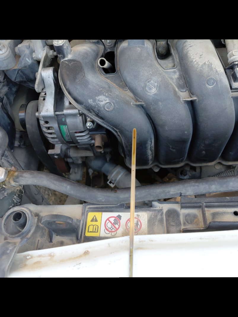 تويوتا كورولا  2017 image