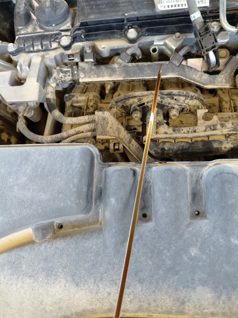 تويوتا انوفا  2024 image