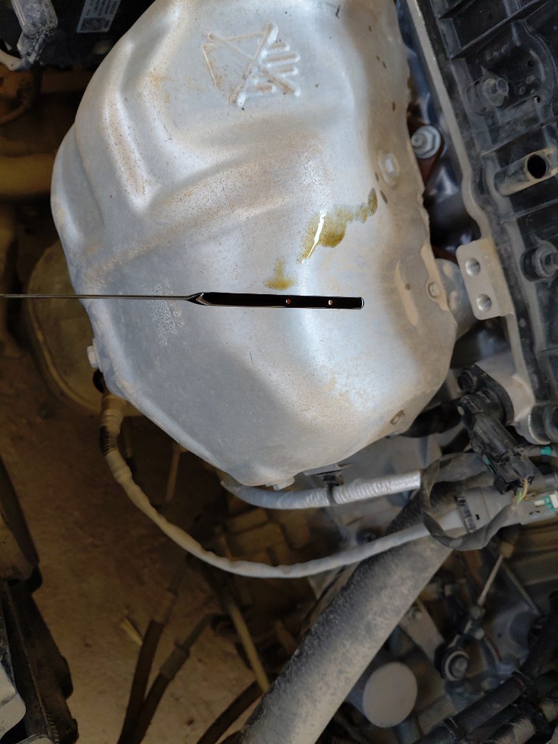 إم جي 5  2023 image