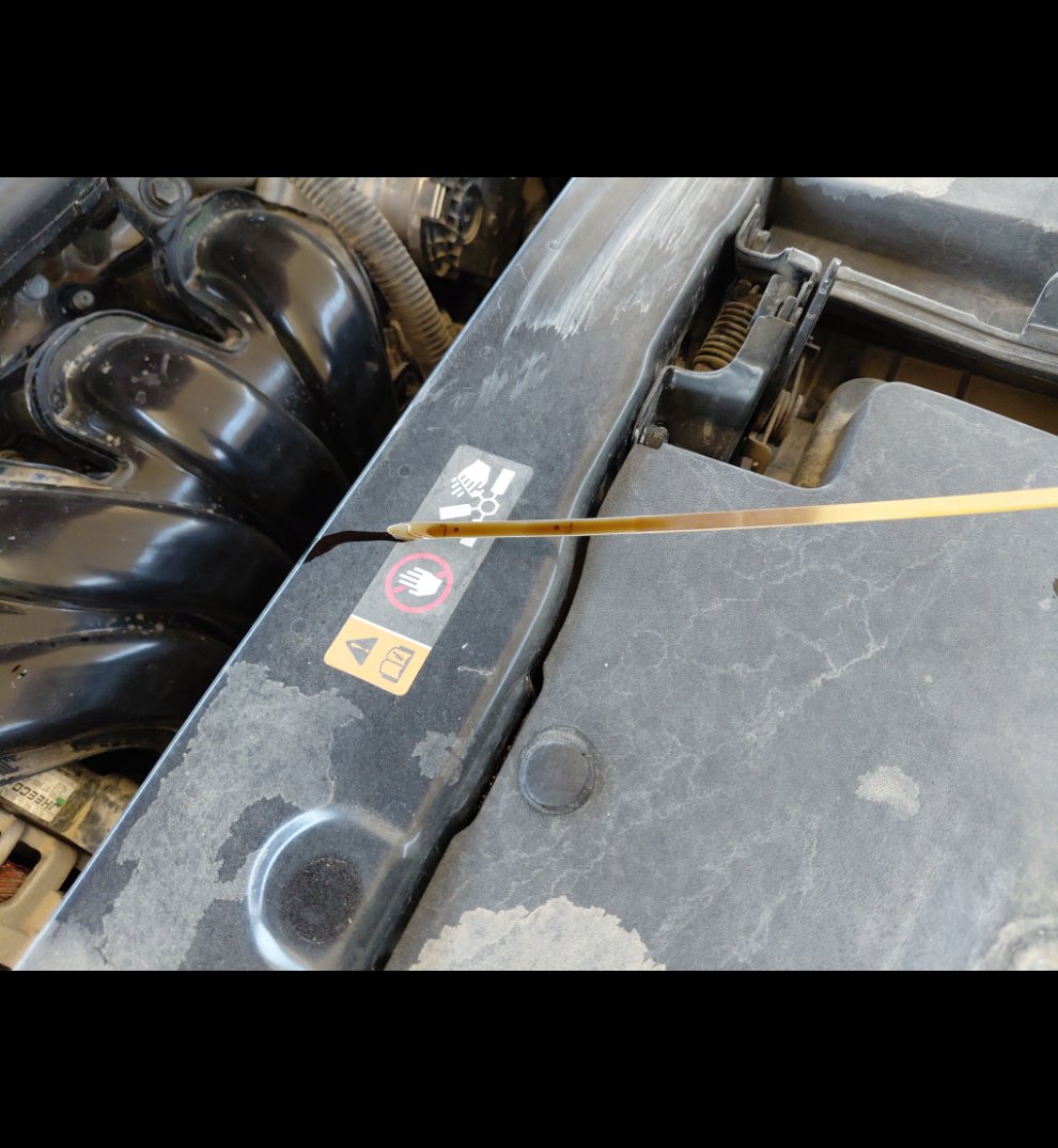 KIA Pegas  2023 image