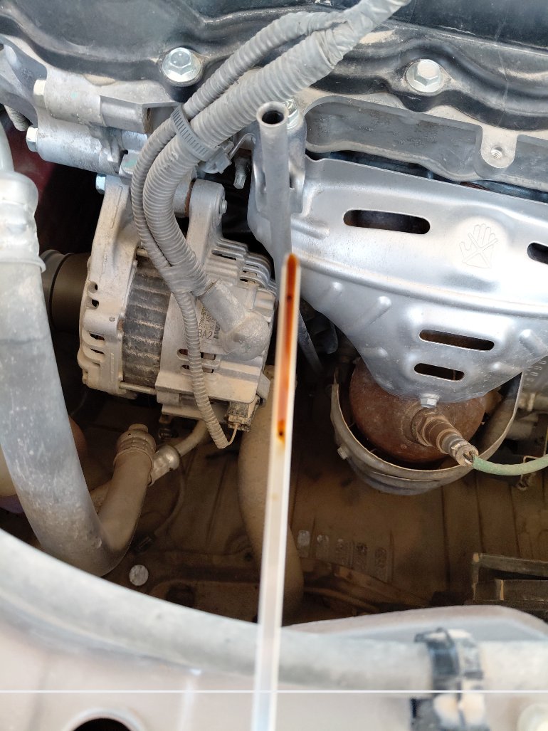 Toyota Yaris  2024 image