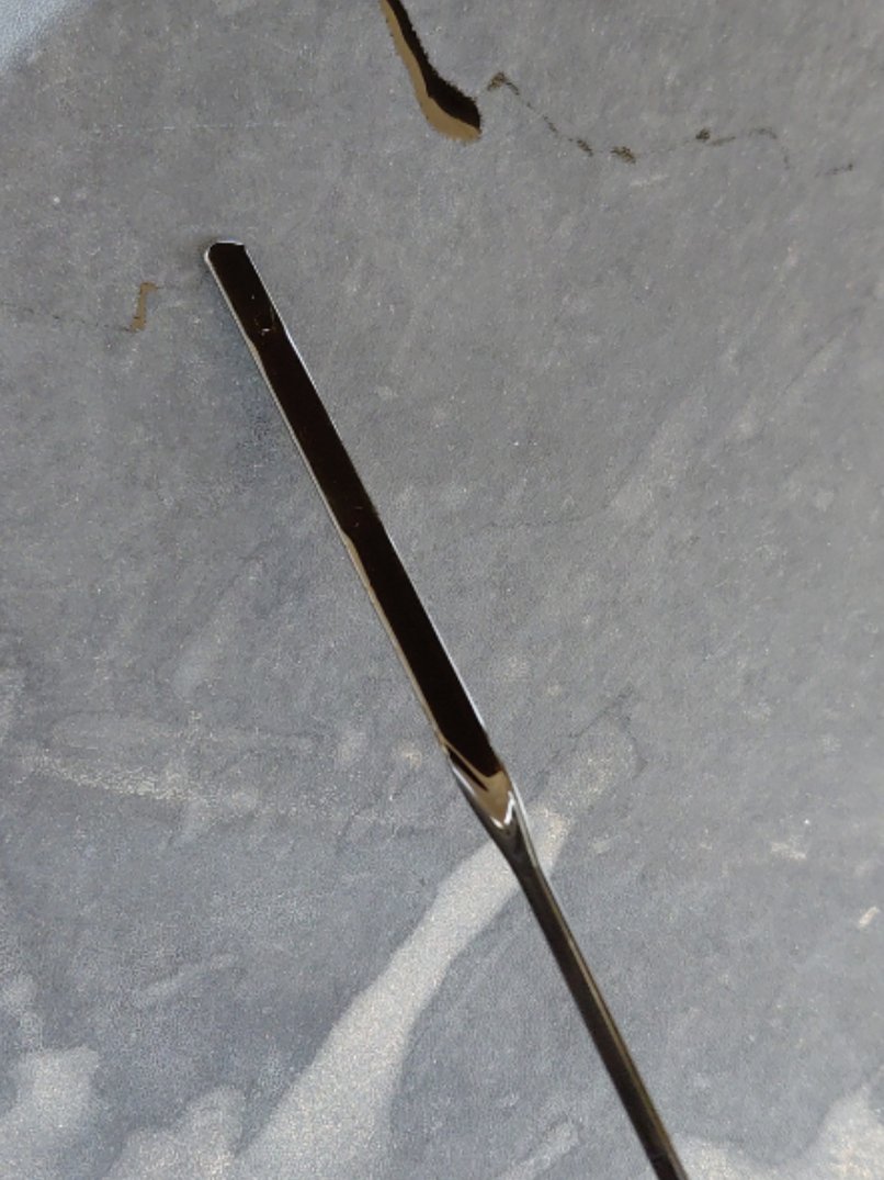 Ford Taurus  2021 image