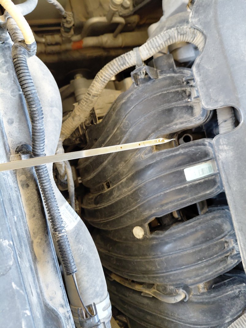 كيا سبورتاج  2019 image