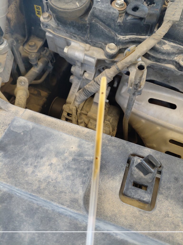 Toyota Yaris  2019 image