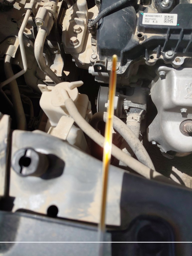 Toyota RAIZE  2024 image