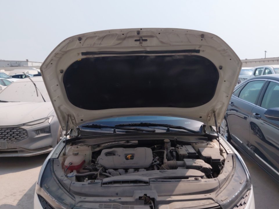 KIA K5 DL3 - LX FWD 2022 image