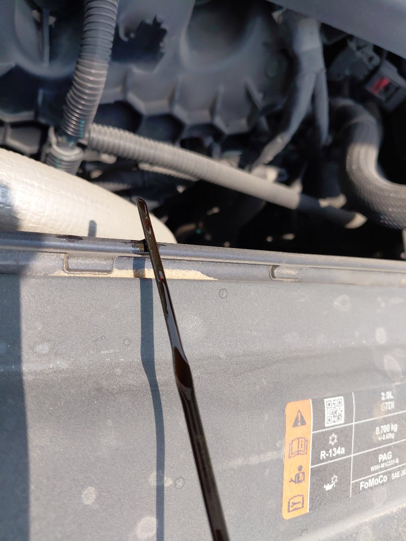 Ford Taurus  2022 image