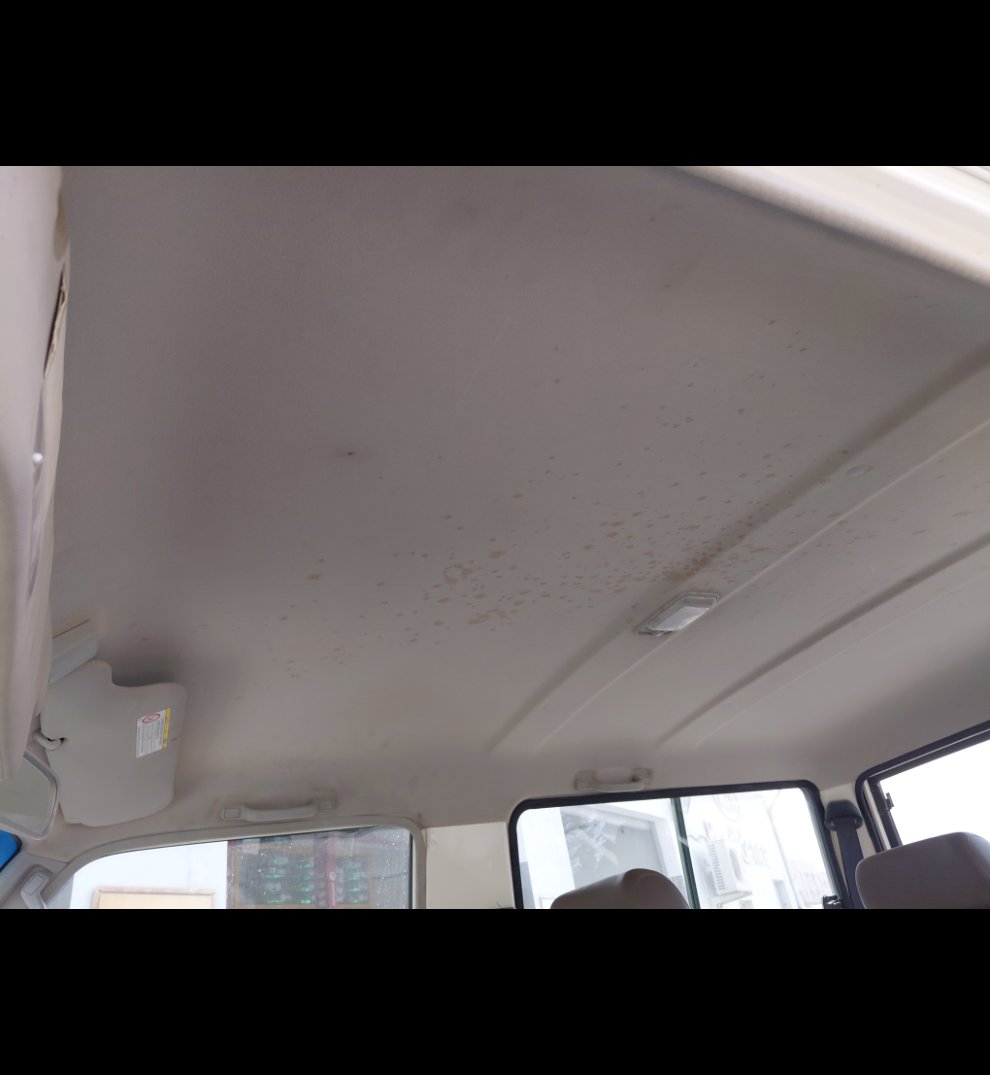 Toyota Land Cruiser Wagon  2021 image