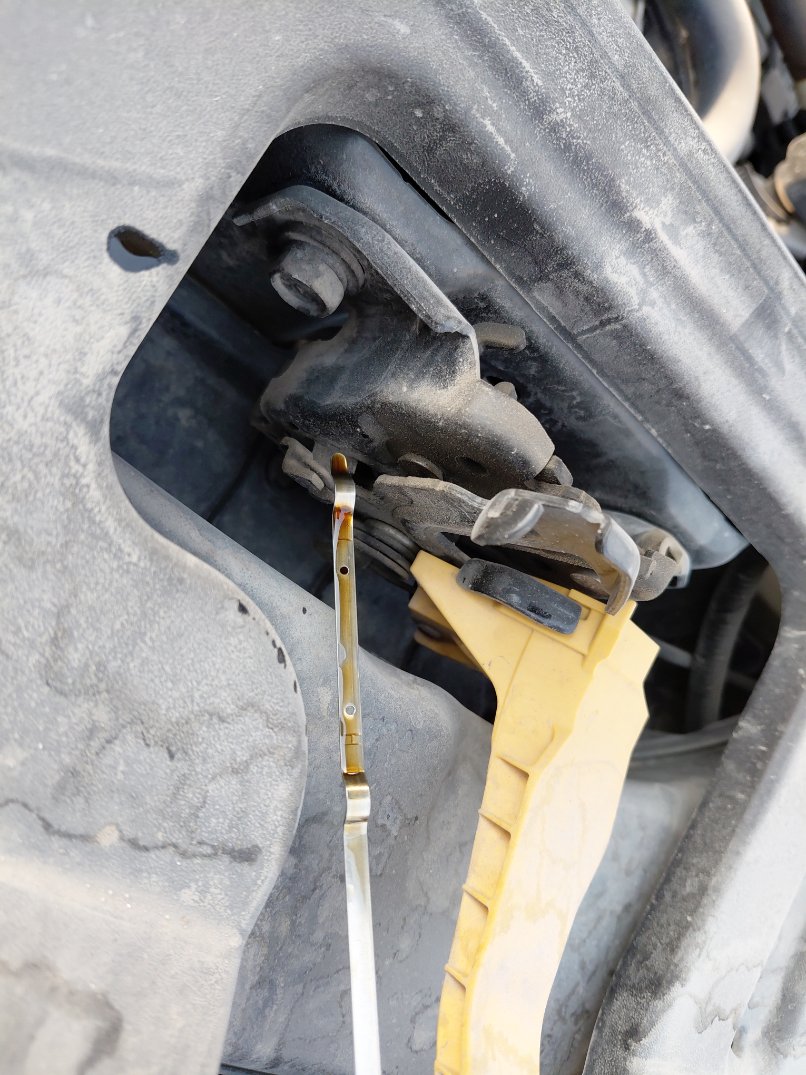 Nissan X-Trail  2023 image