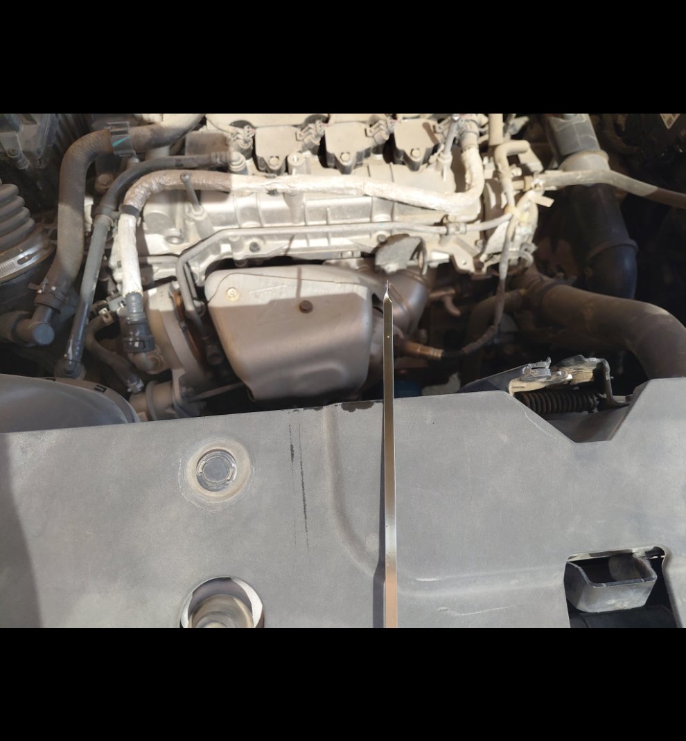 شفروليه كابتيفا  2022 image