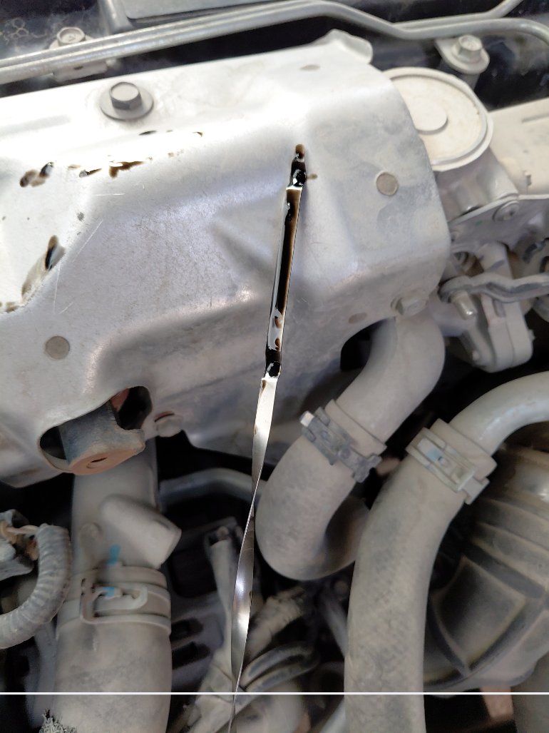 Nissan Urvan  2020 image