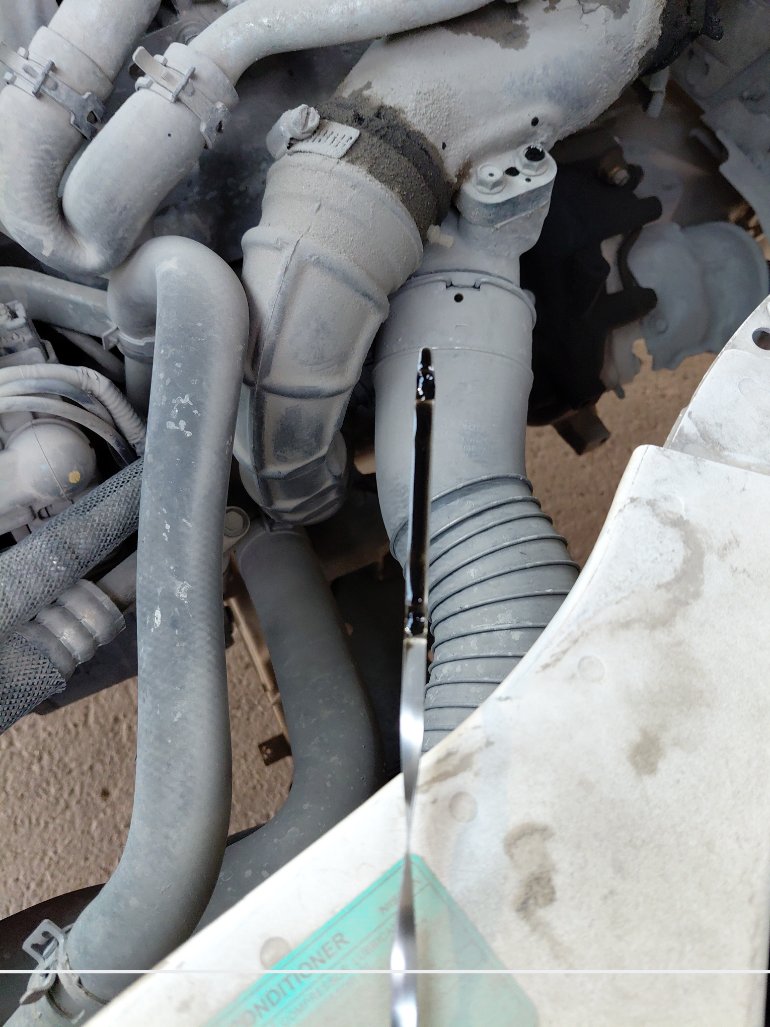 Nissan Urvan  2020 image