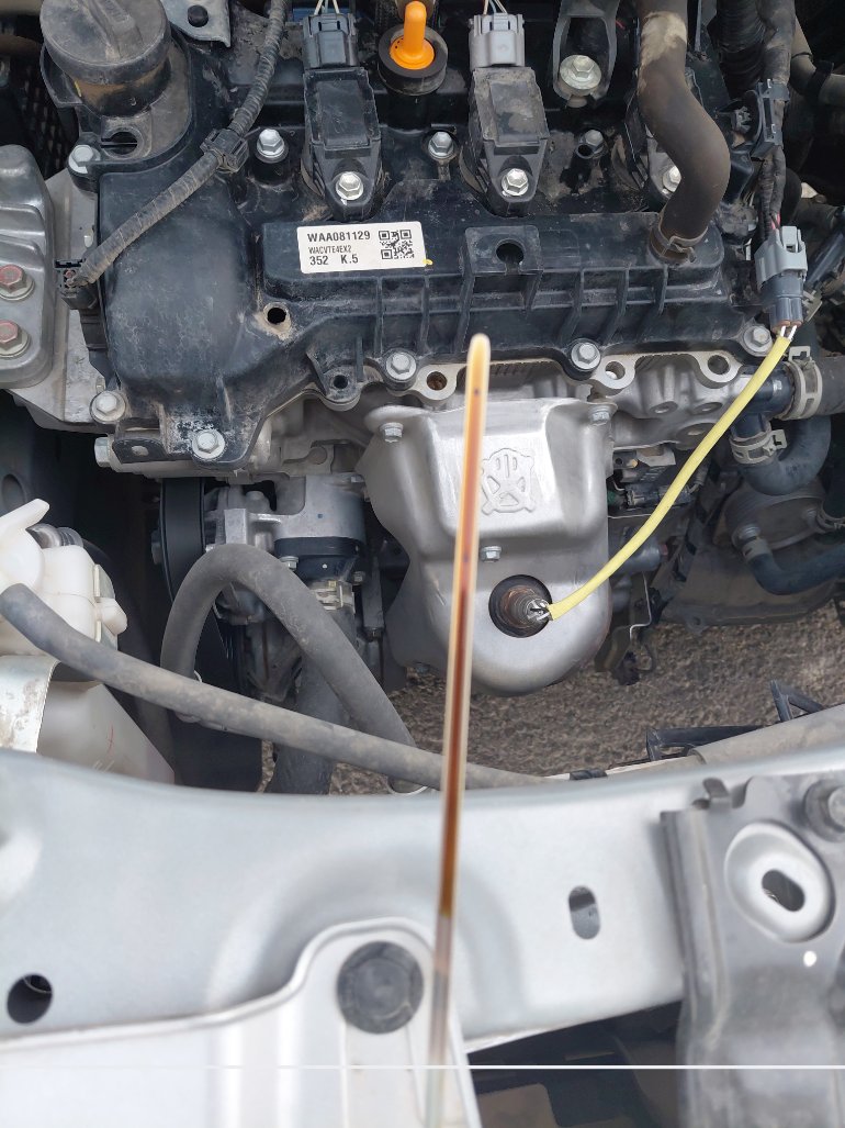 Toyota RAIZE  2024 image