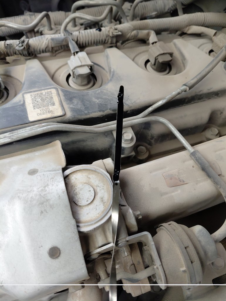 Nissan Urvan  2020 image