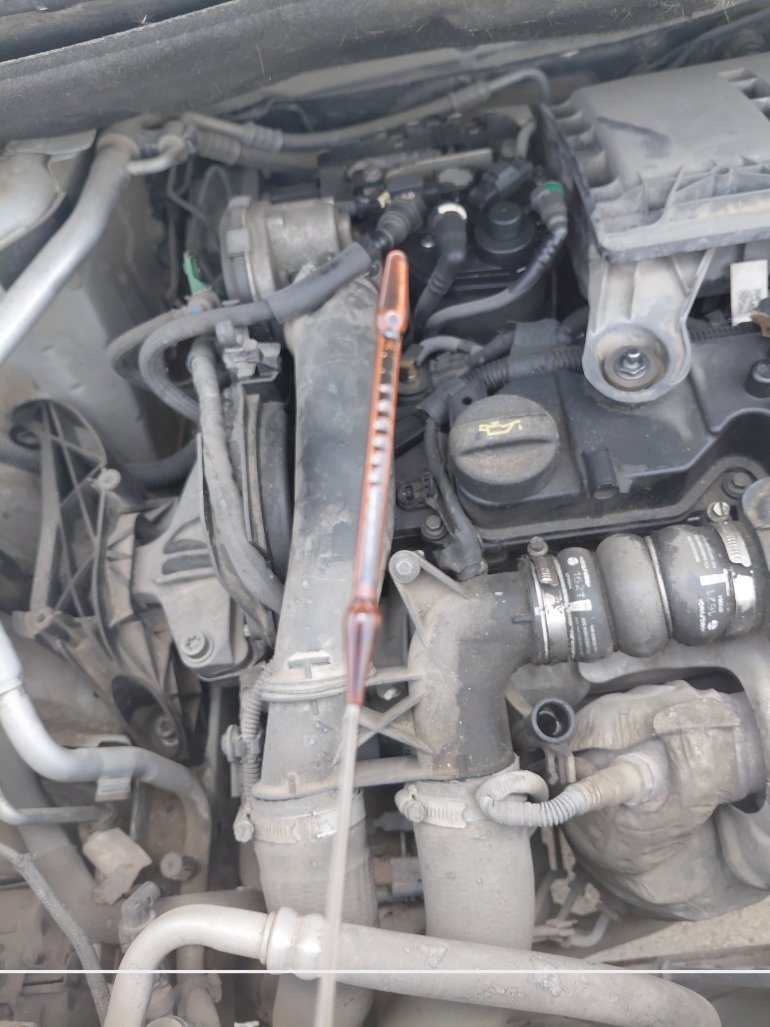 Peugeot  Partner  2022 image