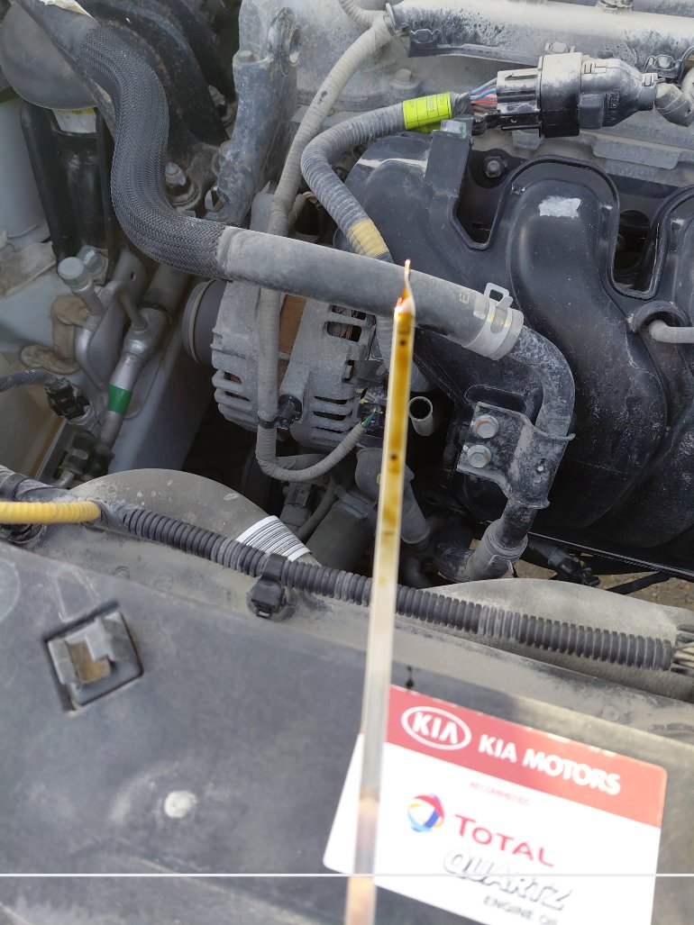 KIA Sportage  2020 image