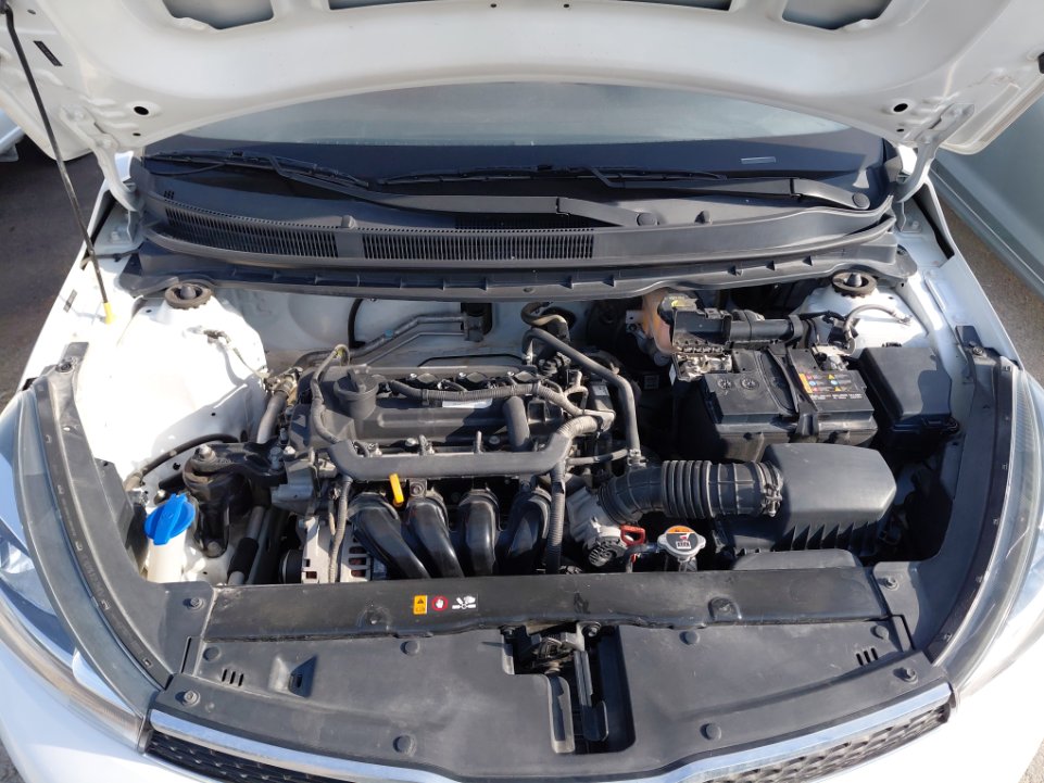 KIA Pegas  2022 image