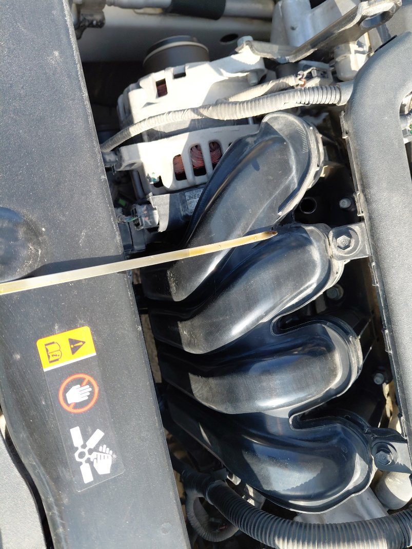 KIA Pegas  2022 image