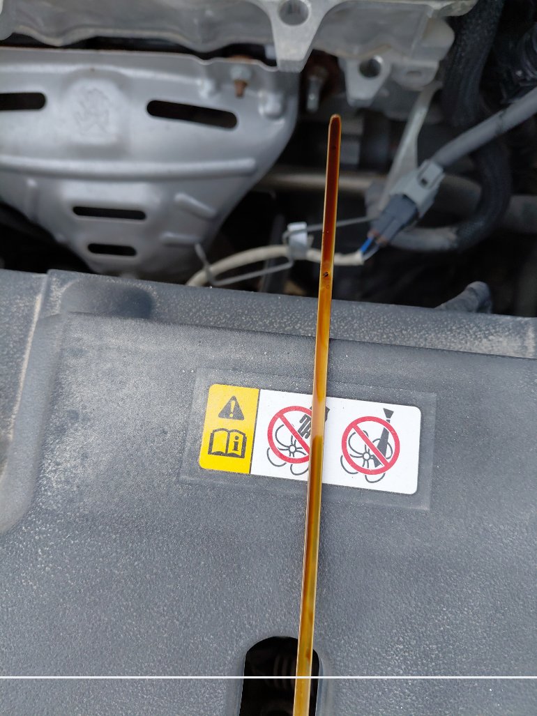 Toyota Yaris  2019 image