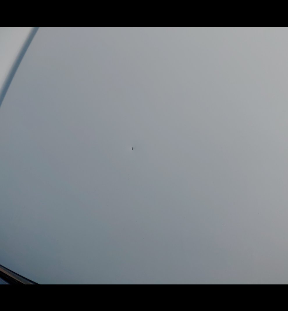 KIA Pegas  2022 image