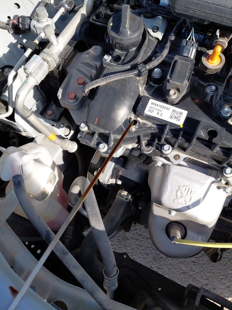 Toyota RAIZE  2024 image