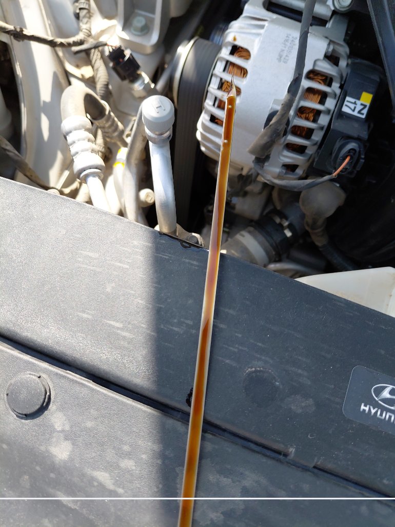 Hyundai Elantra  2024 image